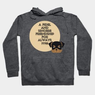 The dog: our best friend Hoodie